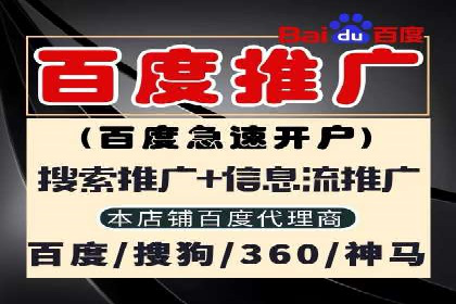 实战案例：SEM广告投放的优化策略